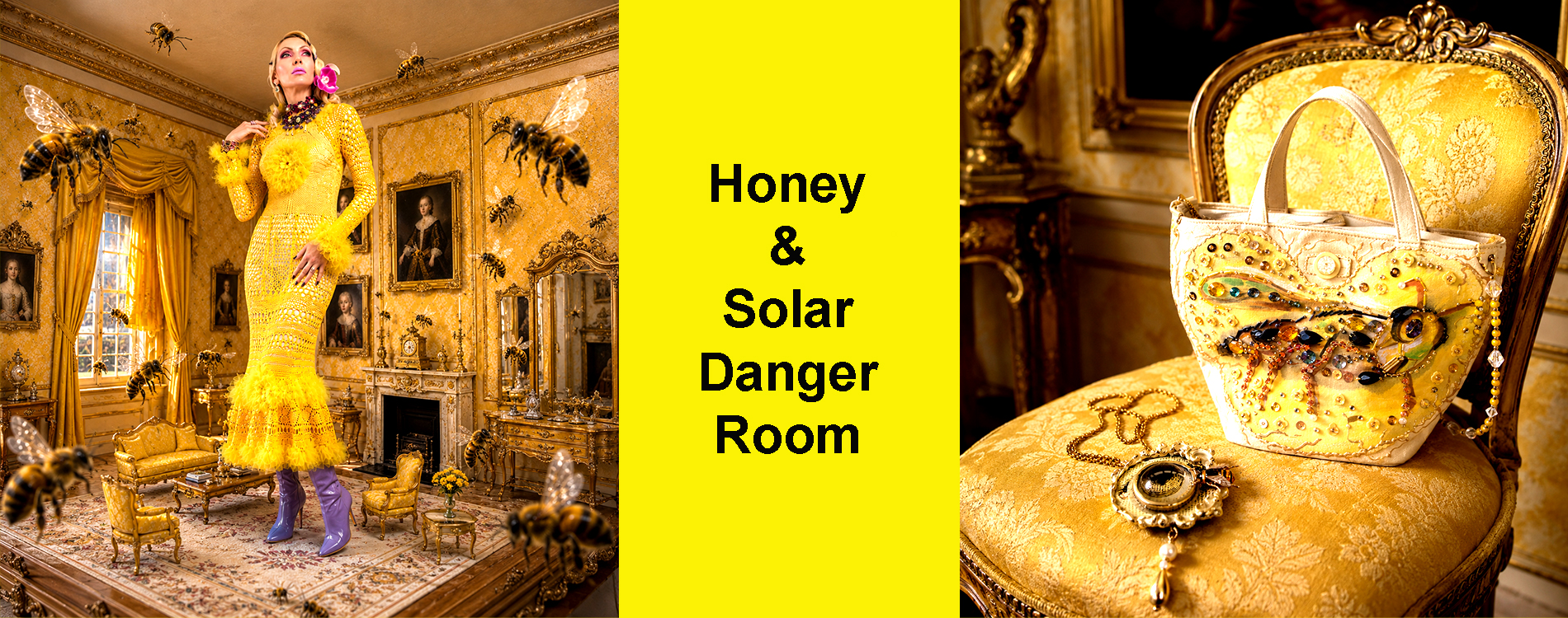 Honey & Solar Danger Room
